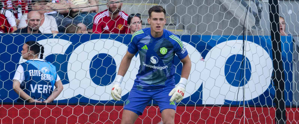 Radek vitek