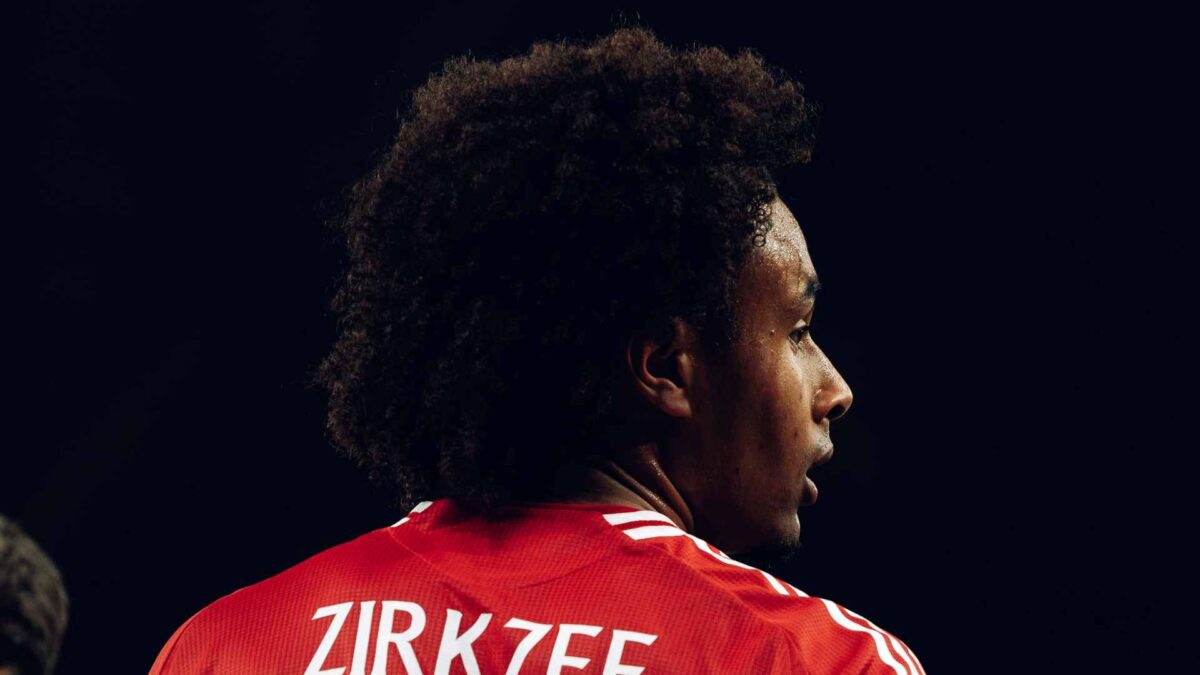 joshua zirkzee3