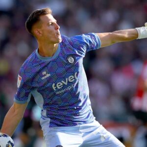 radek vitek