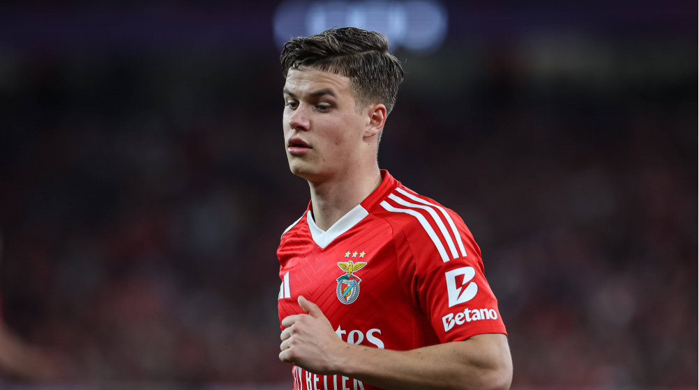 samuel dahl benfica