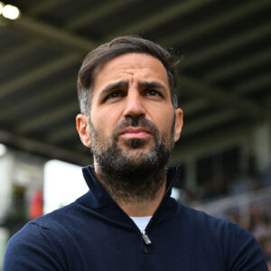 cesc fabregas2